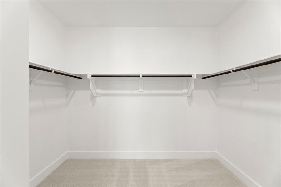 18. 500 Blue Yucca - Closet