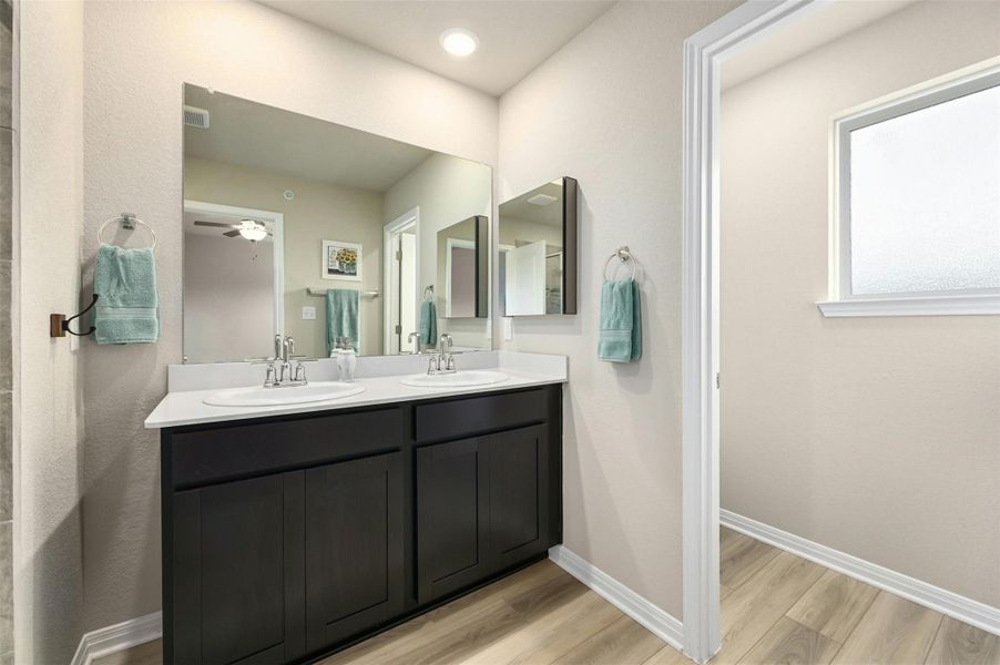 Bathroom with wood-type flooring and vanity