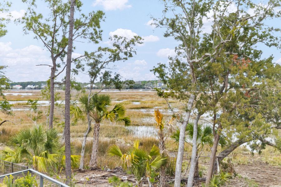 Natural landscape and outdoor views near Carolina Park: Riverside in Mount Pleasant (Image 50). Natural landscape and outdoor views near Carolina Park: Riverside in Mount Pleasant (Image 50).