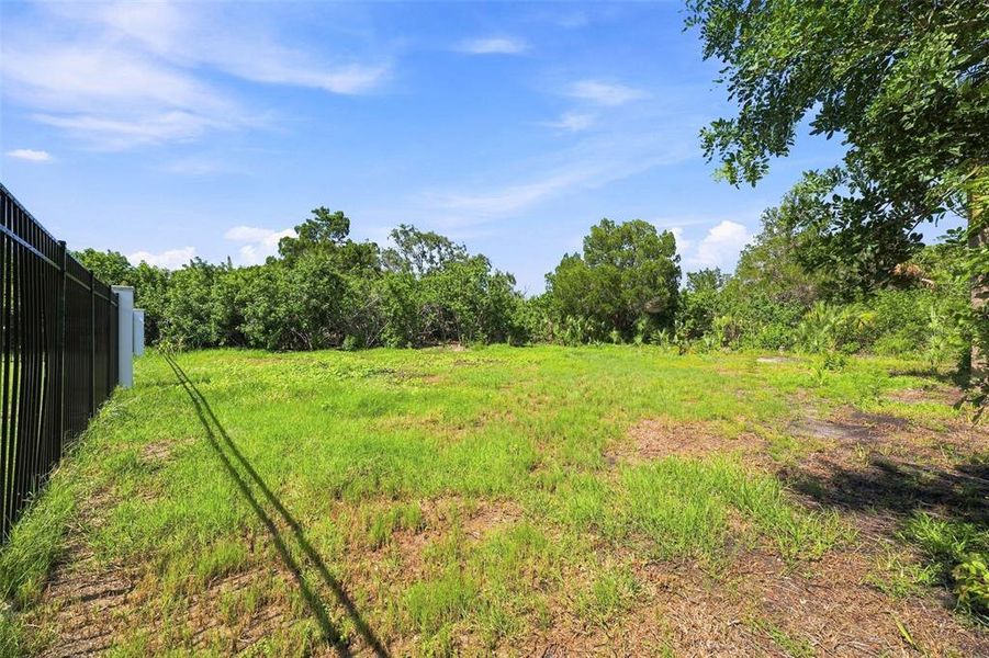 Natural landscape and outdoor views near  in Port Richey (Image 69).
