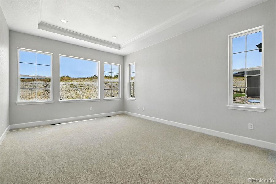 3394 Backdrop Ridge ~ Ready Now