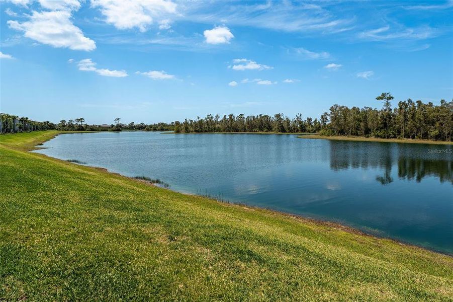 Natural landscape and outdoor views near  in Punta Gorda (Image 37).
