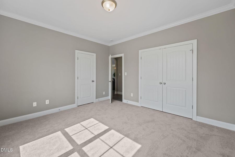 35-web-or-mls-ROB01569