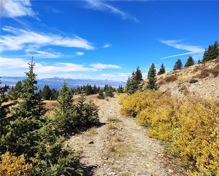 Natural landscape and outdoor views near  in Colorado City (Image 36).