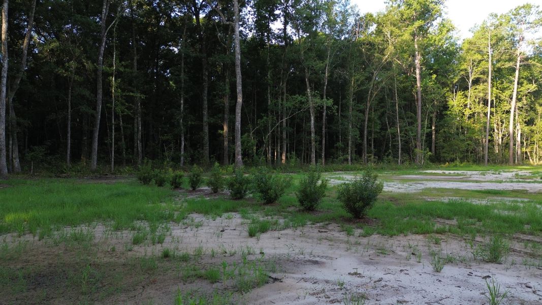 Natural landscape and outdoor views near in Ridgeville (Image 27). Natural landscape and outdoor views near in Ridgeville (Image 27).