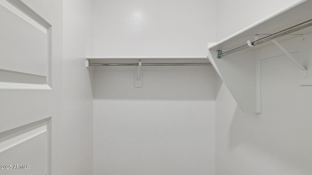 3985_Phoenician_Lot 2081_Aloravita_Peori 3985_Phoenician_Lot 2081_Aloravita_Peori