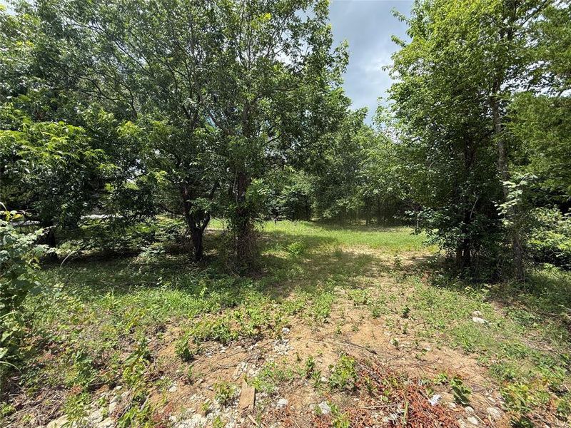 Natural landscape and outdoor views near in Ennis (Image 22). Natural landscape and outdoor views near in Ennis (Image 22).