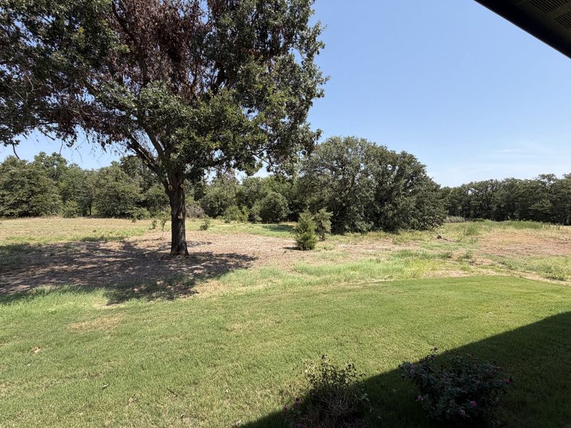 Natural landscape and outdoor views near Terra Vista Estates in Springtown (Image 26).