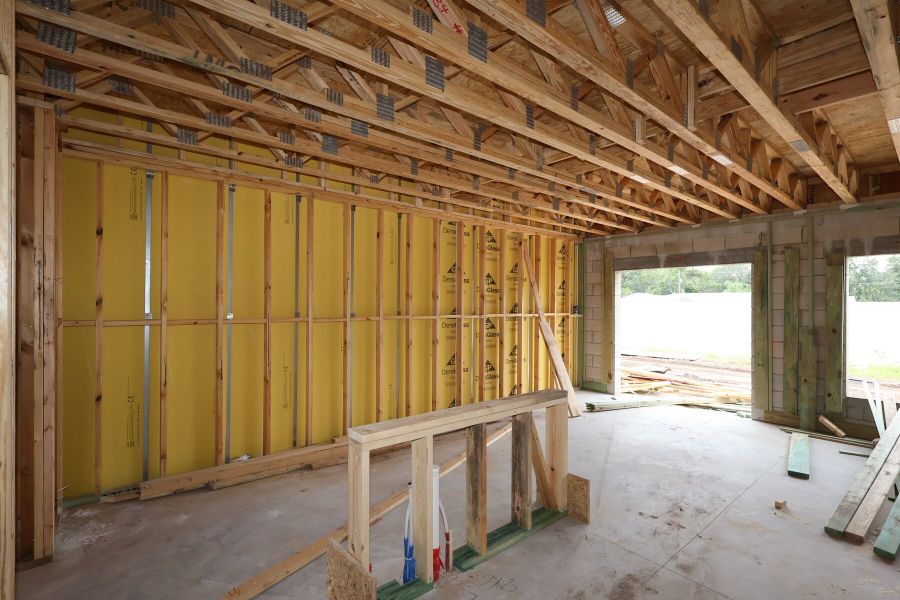 Framing Framing
