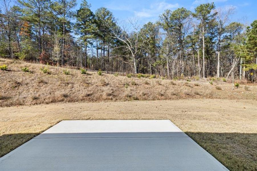 Natural landscape and outdoor views near Northwoods at Mirror Lake in Villa Rica (Image 48).