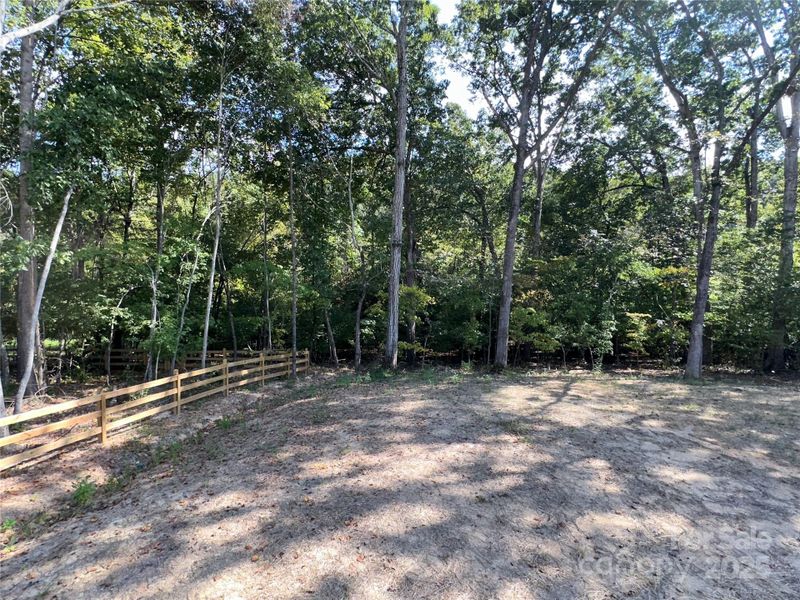 Natural landscape and outdoor views near in Albemarle (Image 25). Natural landscape and outdoor views near in Albemarle (Image 25).