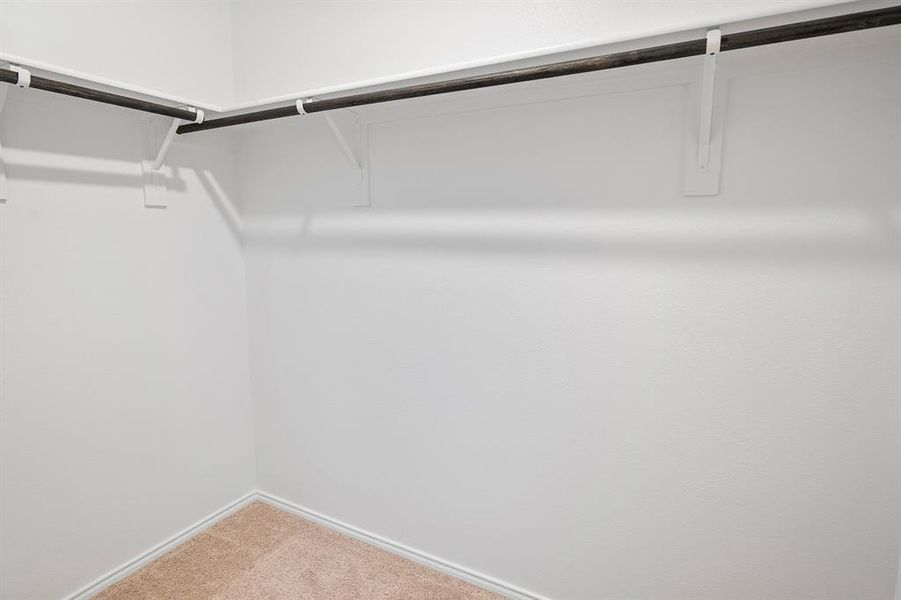 Walk in closet with carpet