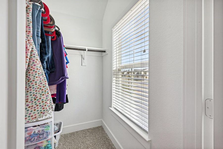 Walk in closet with carpet floors and window