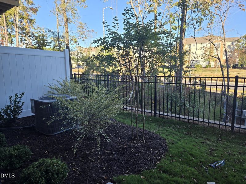 1000016447 1000016447