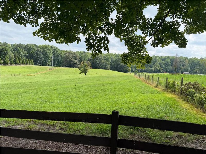 Natural landscape and outdoor views near  in Dacula (Image 62).