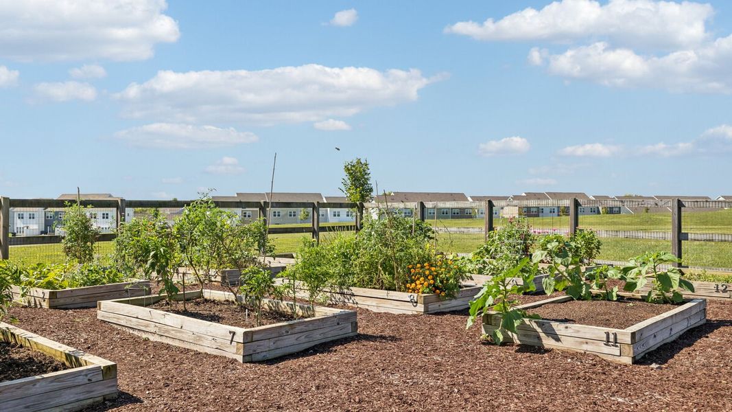 Image 16 representing the BRYAN A by D.R. Horton in Harvest Point, Spring Hill, TN.