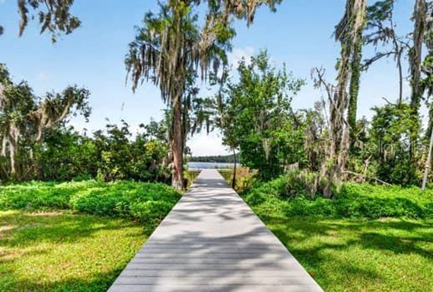 Natural landscape and outdoor views near in Land O' Lakes (Image 22). Natural landscape and outdoor views near in Land O' Lakes (Image 22).
