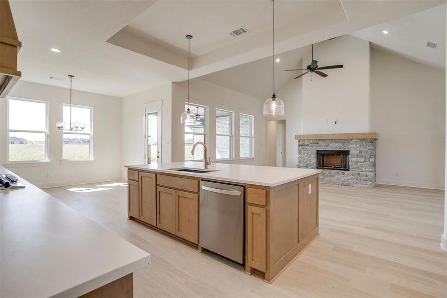 Kitchen featuring dishwasher, a healthy amount of sunlight, a fireplace, and an island with sink