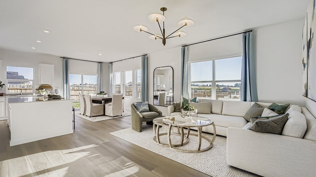 3504 Orchid Great F1 1of2