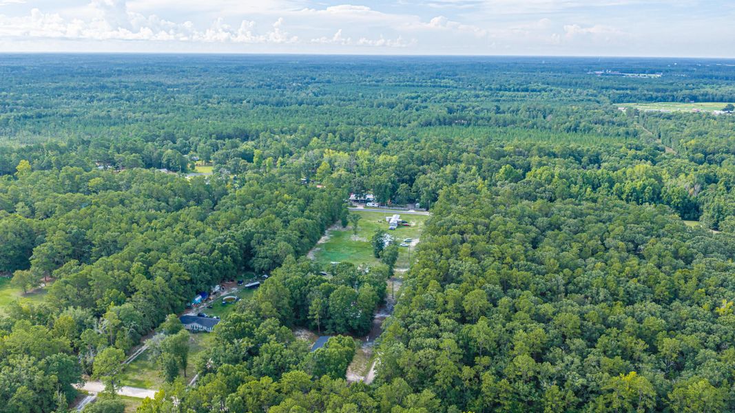 Natural landscape and outdoor views near  in Walterboro (Image 68).