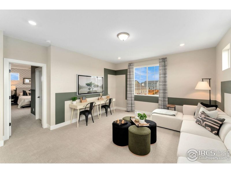 Could be Media Room or Family Room