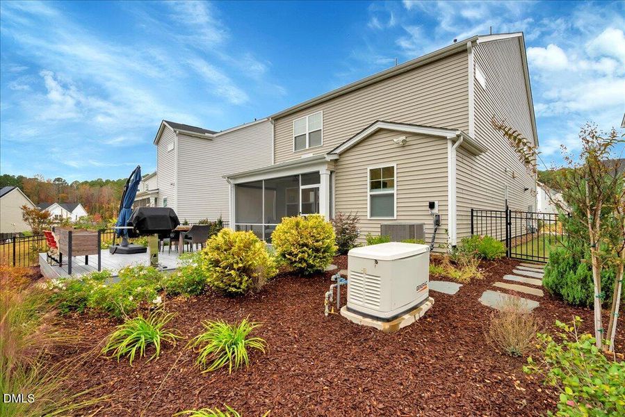 Landscaped Back Yard