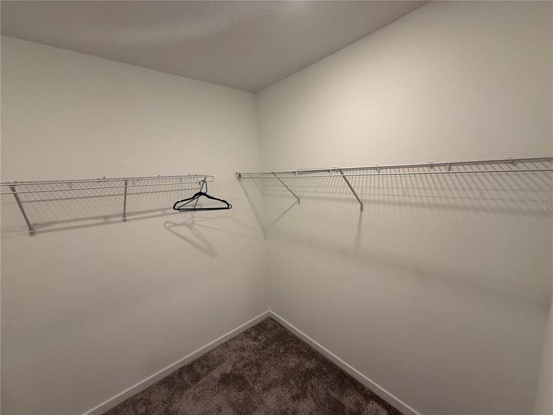 Spacious, unfurnished interior of a new home in Waterset, Apollo Beach (Image 12).