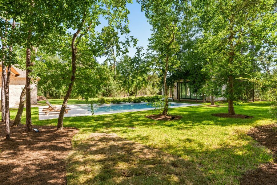 Natural landscape and outdoor views near  in Tomball (Image 46).