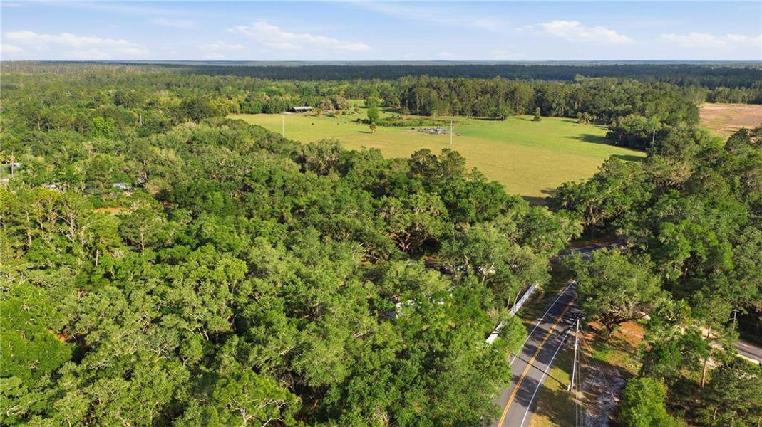Natural landscape and outdoor views near  in Ocklawaha (Image 22).