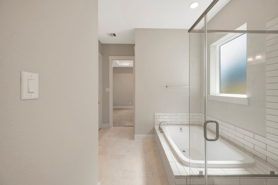 Owner's Bath