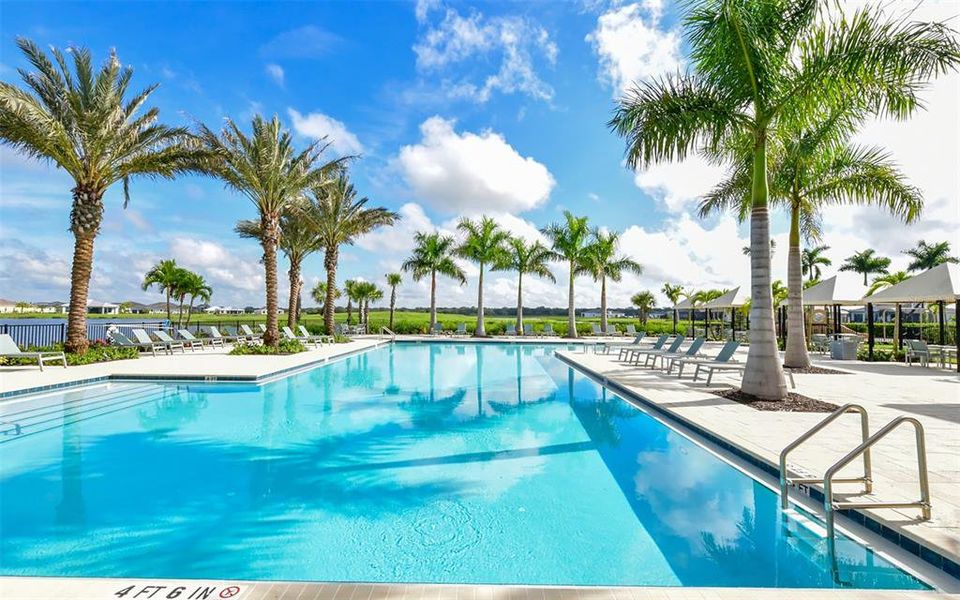 Community amenities in , Sarasota (Image 61).