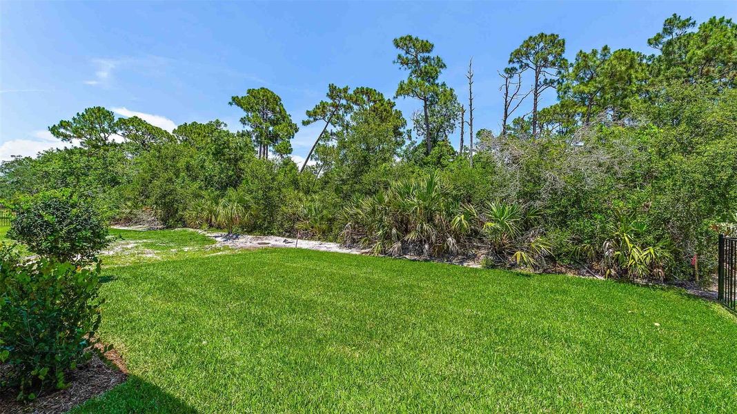 Natural landscape and outdoor views near in Port St. Lucie (Image 39). Natural landscape and outdoor views near in Port St. Lucie (Image 39).