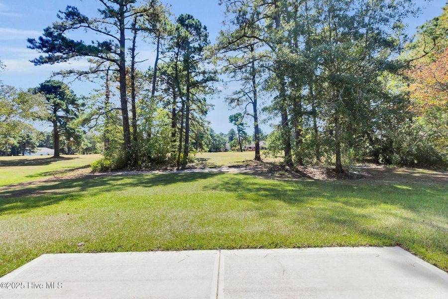 Natural landscape and outdoor views near Fairfield Harbour in New Bern (Image 24).
