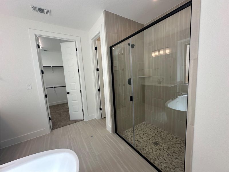 Walk-in Shower in Primary Bath