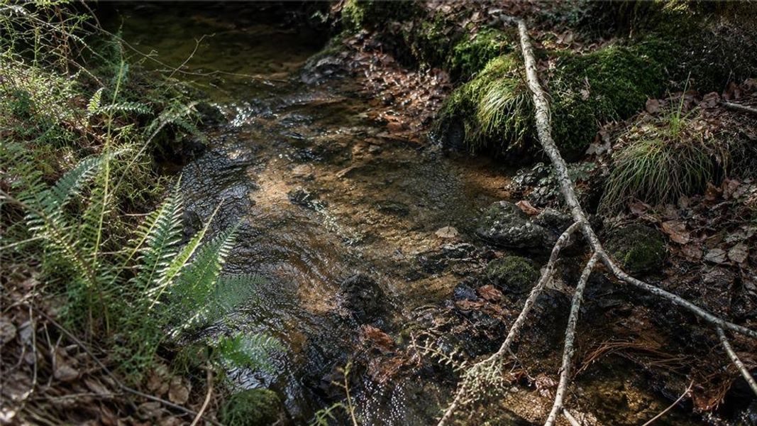 Natural landscape and outdoor views near in Blairsville (Image 18). Natural landscape and outdoor views near in Blairsville (Image 18).