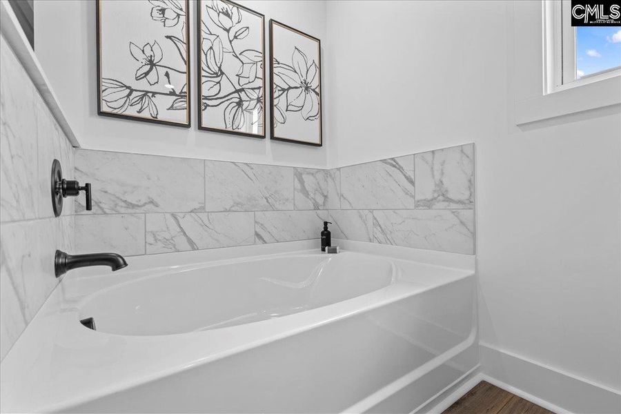 Furnished interior view inside a new home in Boykin Hills, Chapin (Image 5).