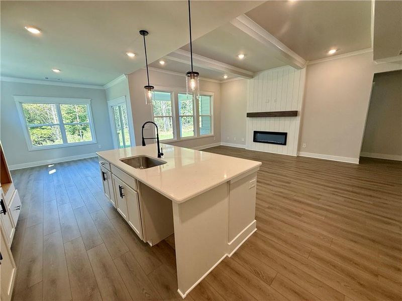 Furnished interior view inside a new home in Fowler Farms, Auburn (Image 7).