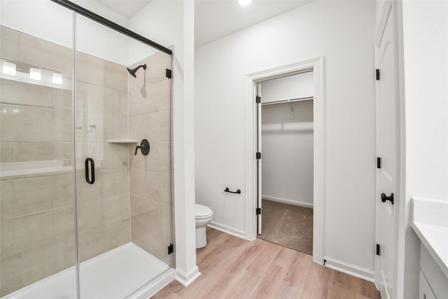 Image 28 of a home in Mostyn Springs. Image 28 of a home in Mostyn Springs.