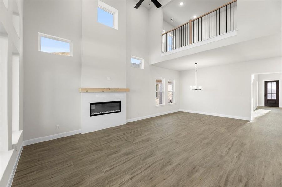 1617 Yorkie - Family (2)