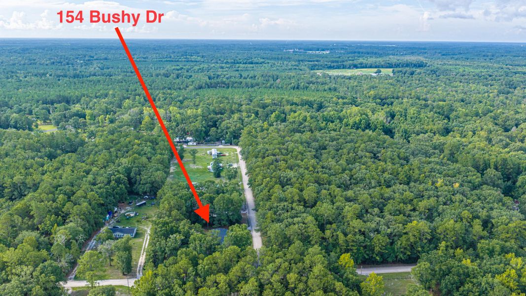 Natural landscape and outdoor views near  in Walterboro (Image 69).