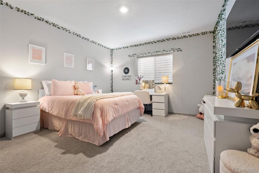 Generous lower level bedroom with easy access to lower leverl full bath.