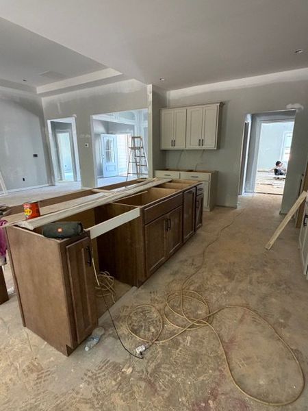 In-progress construction of a new home in WOODMONT RESERVE, Roopville, GA (Image 7).
