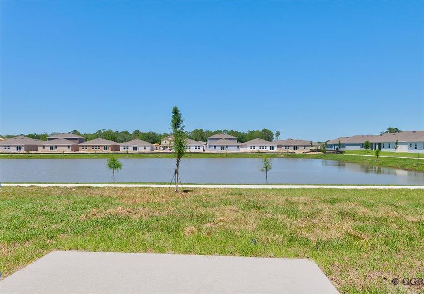 Natural landscape and outdoor views near Knightsbridge in Kissimmee (Image 34). Natural landscape and outdoor views near Knightsbridge in Kissimmee (Image 34).