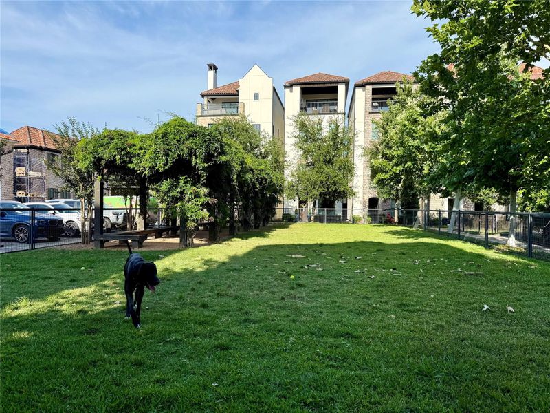 Off leash dog park is the perfect place to unwind at the end of the day.