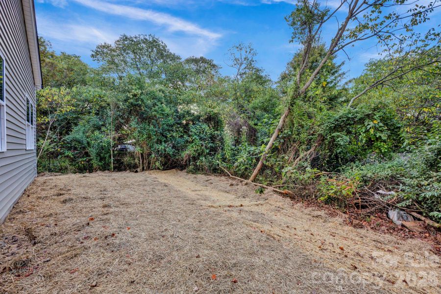 Natural landscape and outdoor views near  in Salisbury (Image 28).