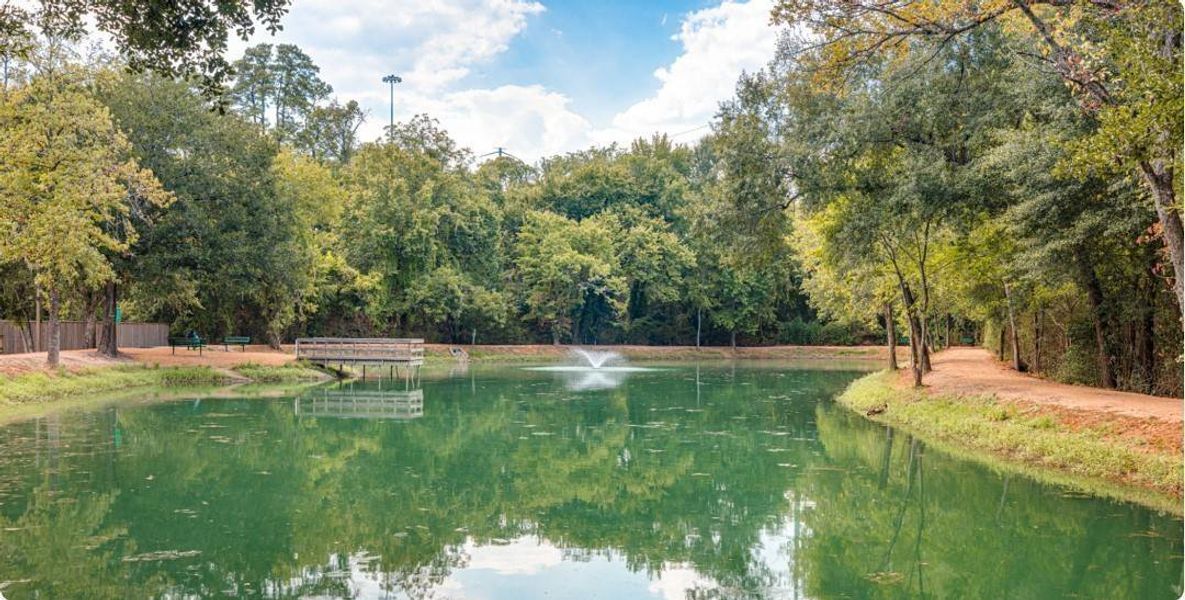 Natural landscape and outdoor views near Flagstone in Humble (Image 20). Natural landscape and outdoor views near Flagstone in Humble (Image 20).