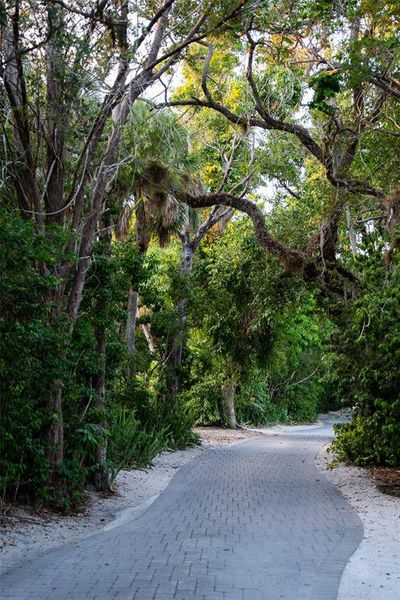 Natural landscape and outdoor views near  in Sarasota (Image 22).