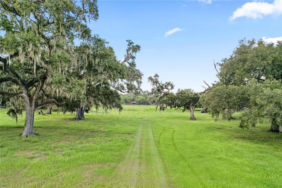 Natural landscape and outdoor views near  in Dade City (Image 20).