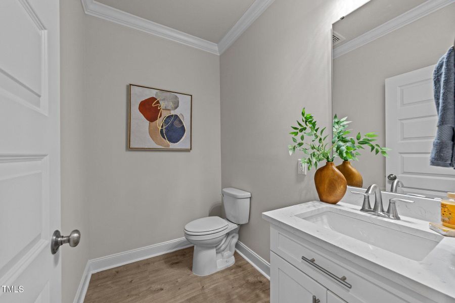 22-web-or-mls-3D5A2915