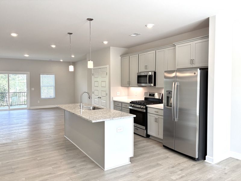 Furnished interior view inside a new home in Holly View, Greenville (Image 6).